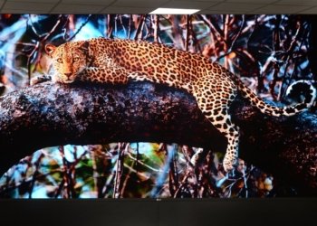 LG MAGNIT – Η πρώτη νέα οθόνη MICRO LED από την LG