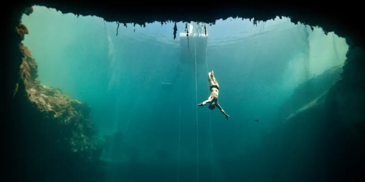 Τι θα δούμε στο Cinobo αυτή την εβδομάδα;