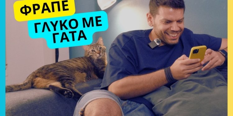 φραπε γλυκό με γάτα - Displayer.gr