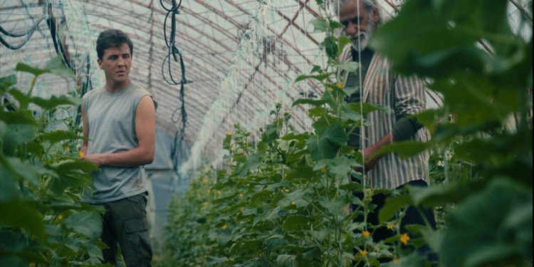 Θερμοκήπιο