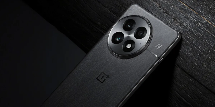 oneplus 13