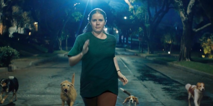 Η ταινια «Nightbitch» ερχεται 24 ιανουαριου αποκλειστικα στο Disney+