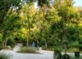 Realme 14 5G Sample 4